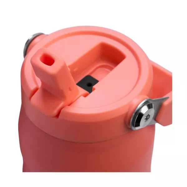 Stanley 24oz IceFlow Aerolight Water Bottle with Flip Straw 2.0