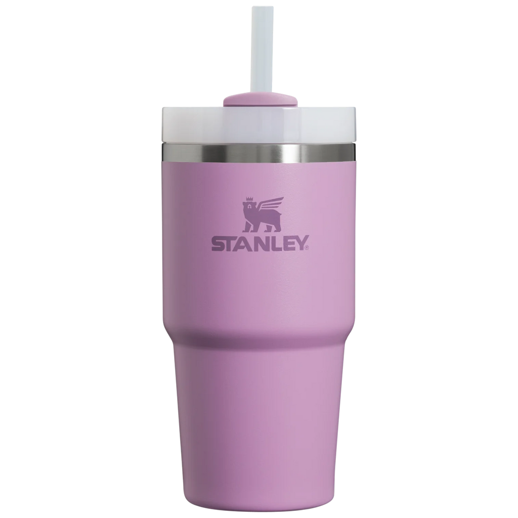 The Quencher H2.0 FlowState™ Tumbler | 20 OZ - Stanley Create