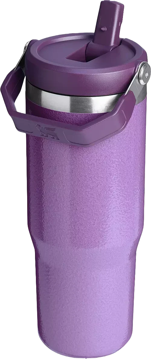 Stanley 30 oz. IceFlow Flip Straw Tumbler