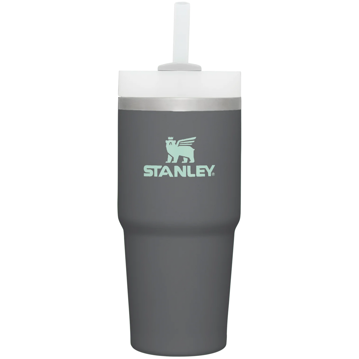 The Quencher H2.0 FlowState™ Tumbler  | 14 OZ - Stanley Create