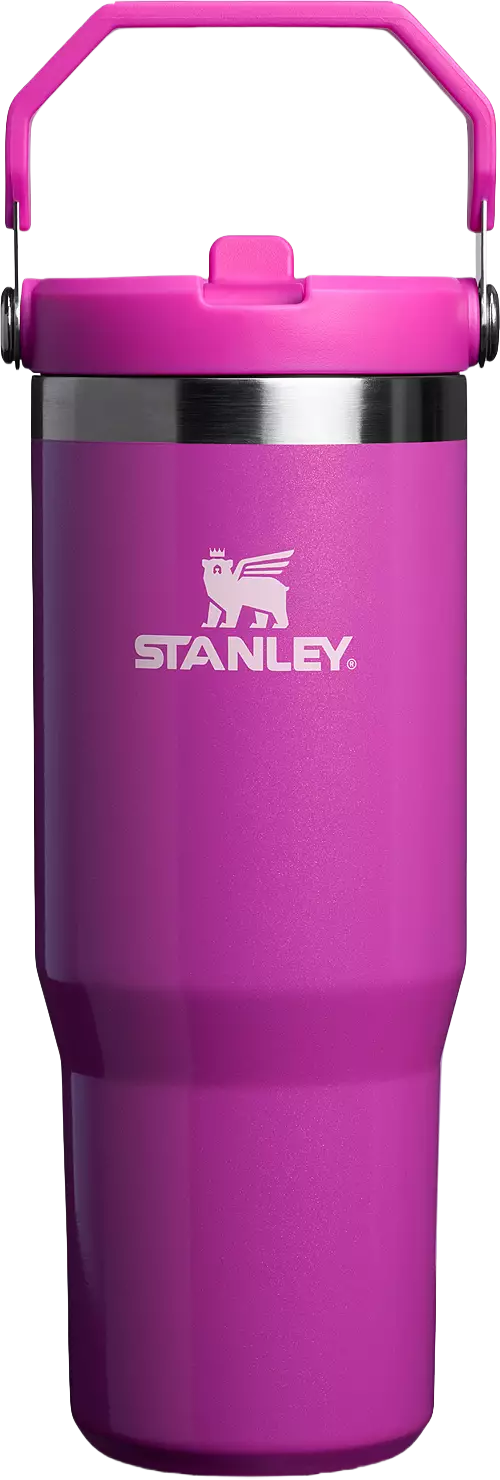 Stanley 30 Oz. IceFlow Flip Straw Tumbler - Winter Wonderland Collection
