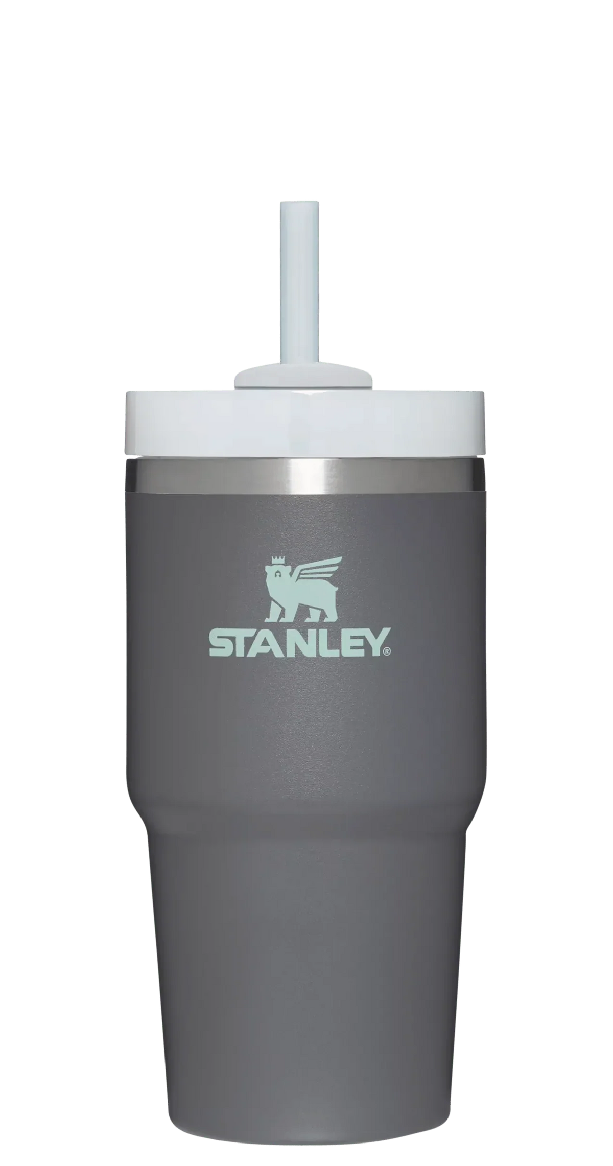 The Quencher H2.0 FlowState™ Tumbler | 20 OZ - Stanley Create