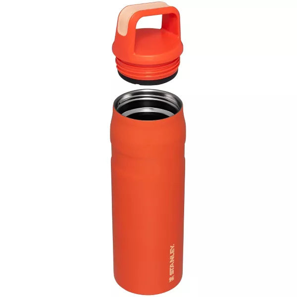 Stanley 24oz Stainless Steel IceFlow Aerolight Water Bottle Cap and Carry