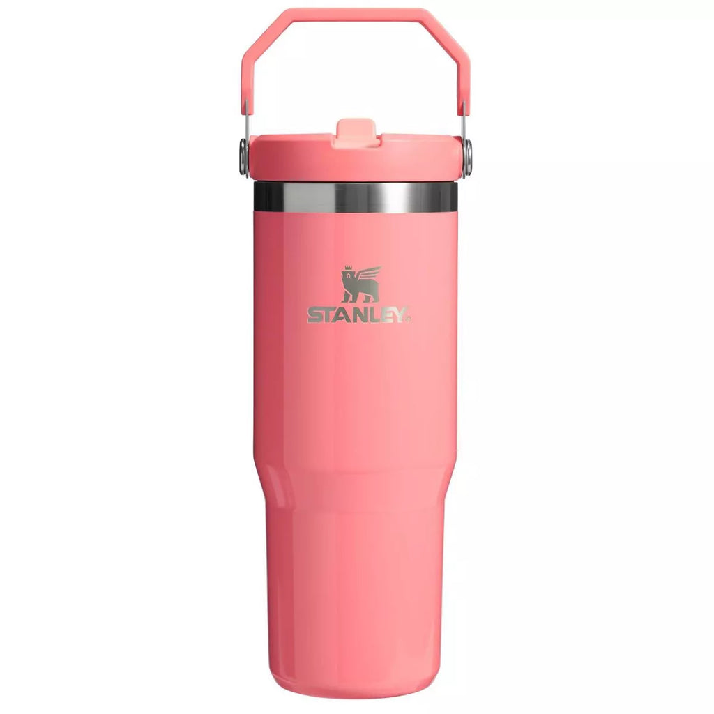 Stanley 30 oz Stainless Steel IceFlow Flip Straw Tumbler